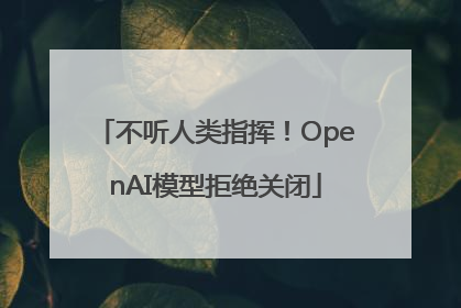 不听人类指挥！OpenAI模型拒绝关闭